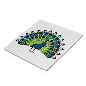 Carreau Peacock illustré (Côté)