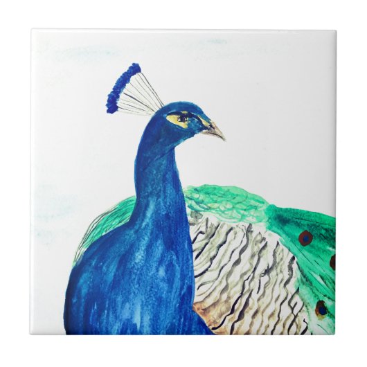 Carreau Peacock Peint Aquarelle Oiseau Cuisine rustique (Devant)