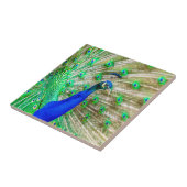 Carreau Peacock Plumage (Côté)