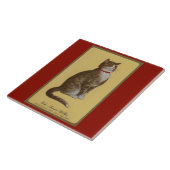 Carreau Peake, le chat tabby de Chessie (Côté)