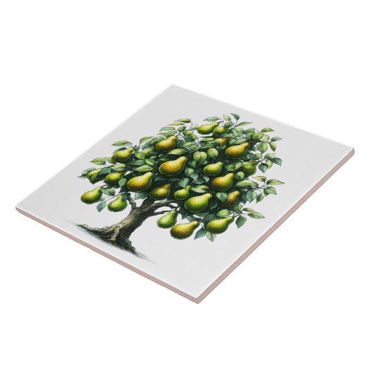 Carreau Pear tree (Côté)