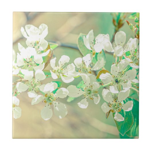 Carreau Pear Tree Spring Vibes positives Feuilles Fleurs (Devant)