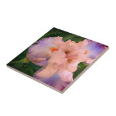 Carreau Pêche améliorée et Iris pourpre (Côté)