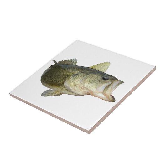 Carreau Pêche au bar (Côté)