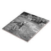 Carreau Pêche d'homme (Côté)