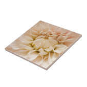 Carreau Pêche, rose, blanc, et dahlia crème - dahlias (Côté)