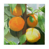 CARREAU PÊCHES (Devant)