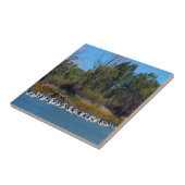 Carreau "Pêcheurs de River Murray : un rassemblement pélic (Côté)