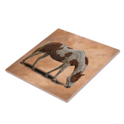 CARREAU PEIGNEZ LE CHEVAL (Côté)