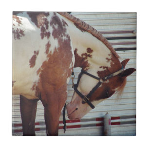 Carreau Peignez le cheval