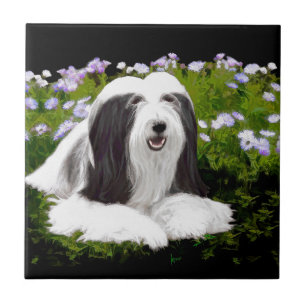 Carreau Peinture à collie à poils - Joli art original de c