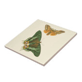 Carreau Peinture à papillon légèrement frontière (Côté)