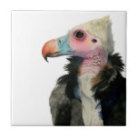 Carreau Peinture à tête blanche d'aquarelle de vautour<br><div class="desc">C'est une peinture d'aquarelle d'un vautour à tête blanche ce les vies dans l'Afrique Subsaharienne. Elles sont en critique espèce menacée. Elle a un orange et le bec bleu et le visage est rose sans des plumes. Vous pouvez voir ses rides sur le cou. Il y a fourrure pelucheuse autour...</div>