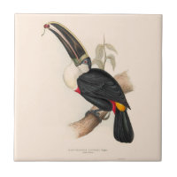 Peinture animalière d'antiquités Toucans