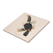 Carreau Peinture animalière d'antiquités Toucans (Côté)