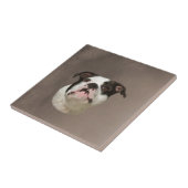 Carreau Peinture couleur d'eau Bulldog (Côté)