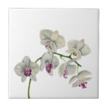 Carreau Peinture d'aquarelle d'orchidée<br><div class="desc">C'est une peinture d'aquarelle de mon plante d'orchidée. J'ai employé des peintures d'aquarelle de Daniel Smith sur le papier pressé chaud de voûtes.</div>