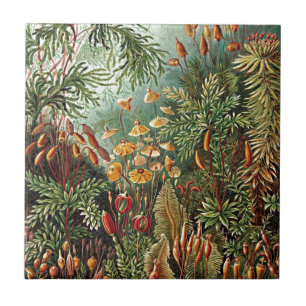 Carreau Peinture de champignon d'herbe Haeckel Moss