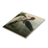 Carreau Peinture de la faune d'Audubon Heron violet (Côté)