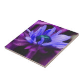 Carreau Peinture de marguerite pourpre Carrelage d'art flo (Côté)