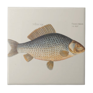 Carreau peinture de pêche de carpe dessin d'eau douce