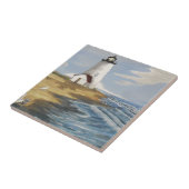 Carreau Peinture de phare (Côté)