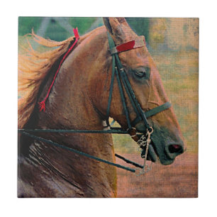 Carreau Peinture des Faux selles