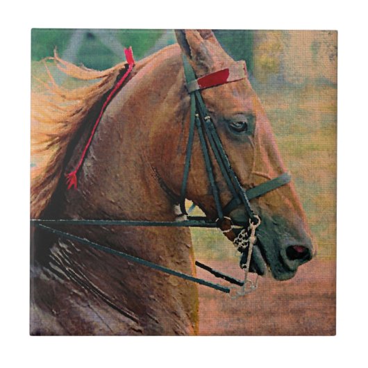 Carreau Peinture des Faux selles (Devant)