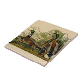 Carreau Peinture d'oiseaux de Mallard Duck Audubon (Côté)