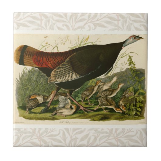 Carreau Peinture d'oiseaux sauvages de Turquie Audubon (Devant)