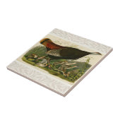 Carreau Peinture d'oiseaux sauvages de Turquie Audubon (Côté)