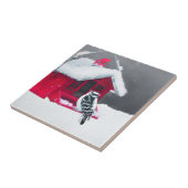 Carreau Peinture Downy Woodpecker - Art original pour oise (Côté)