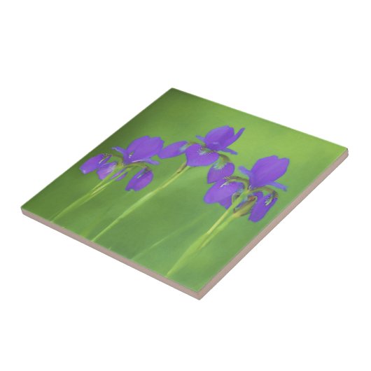 Carreau Peinture Iris Violet - Art Fleur Originale (Côté)