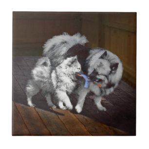 Carreau Peinture Keeshond Playtime - Jolie art original ch