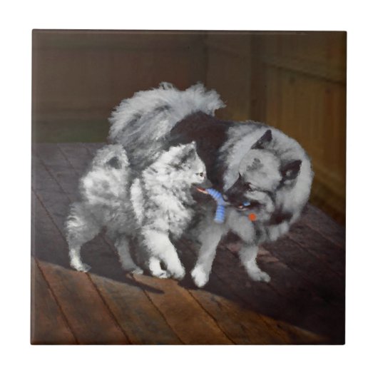 Carreau Peinture Keeshond Playtime - Jolie art original ch (Devant)