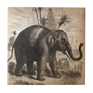 Carreau Peinture murale vintage d'éléphant