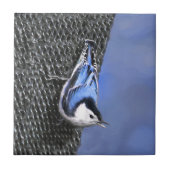 Carreau Peinture Nuthatch à poitrine blanche Art original (Devant)