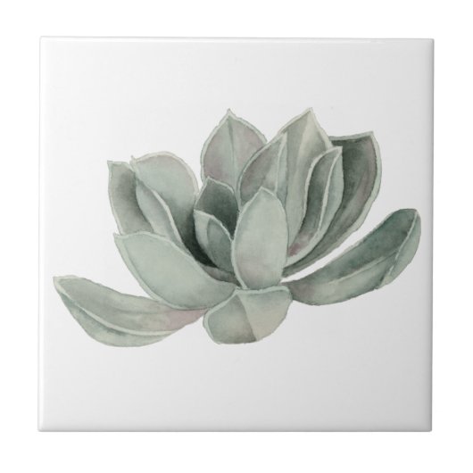 Carreau Peinture succulente d'aquarelle de plante (Devant)