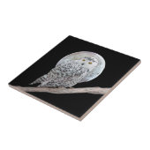 Carreau Peinture sur la Chouette neigeuse et la Lune - Art (Côté)