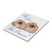 Carreau Pekingese (Côté)