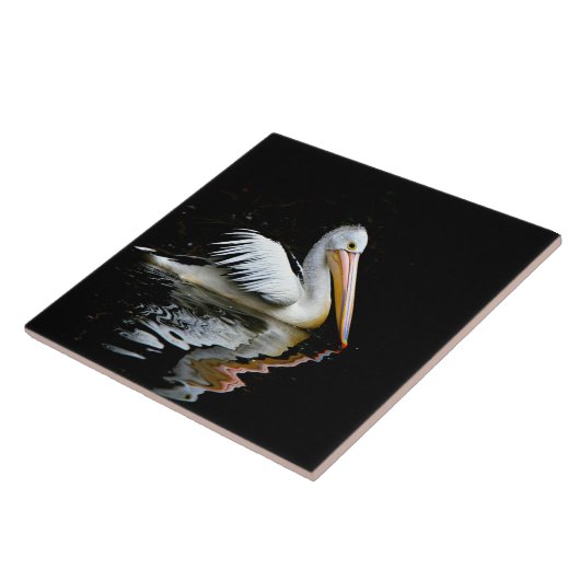 Carreau Pélican (Côté)