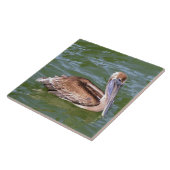 Carreau Pélican (Côté)