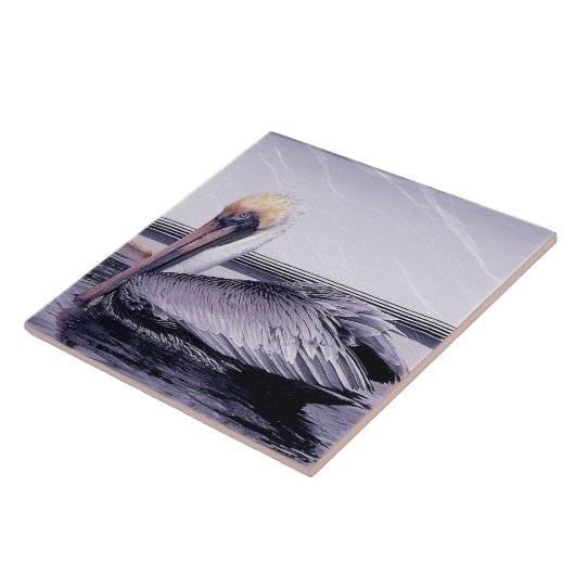 Carreau Pelican Gliding (Côté)