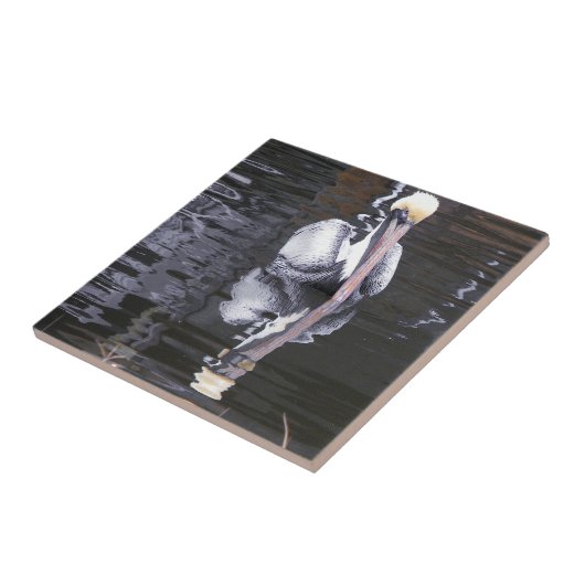 Carreau Pélican, réflexion (Côté)