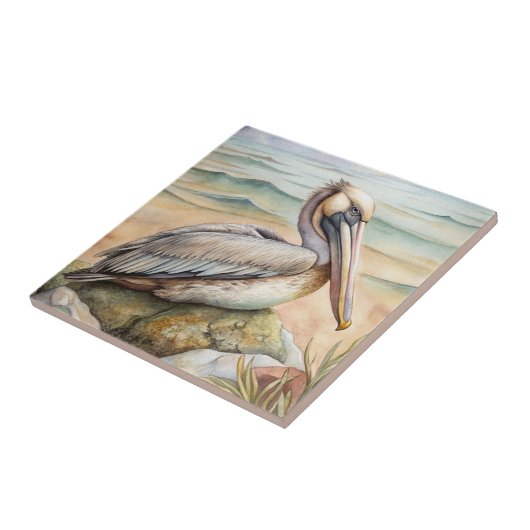 Carreau Pélican sur la plage (Côté)