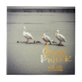 Carreau Pélicans et mouettes rêvent de plus en plus (Devant)