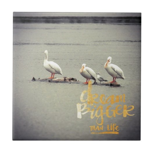 Carreau Pélicans et mouettes rêvent de plus en plus (Devant)