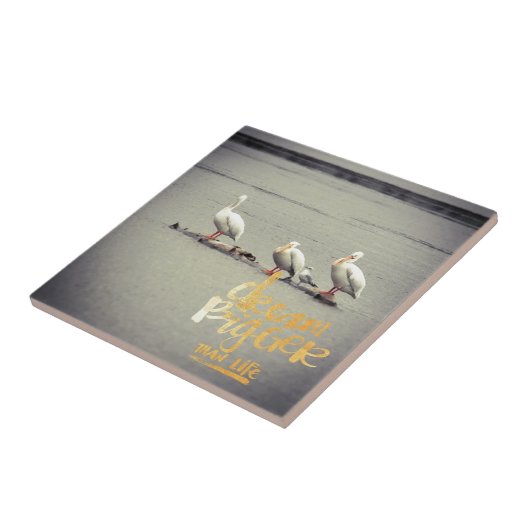 Carreau Pélicans et mouettes rêvent de plus en plus (Côté)