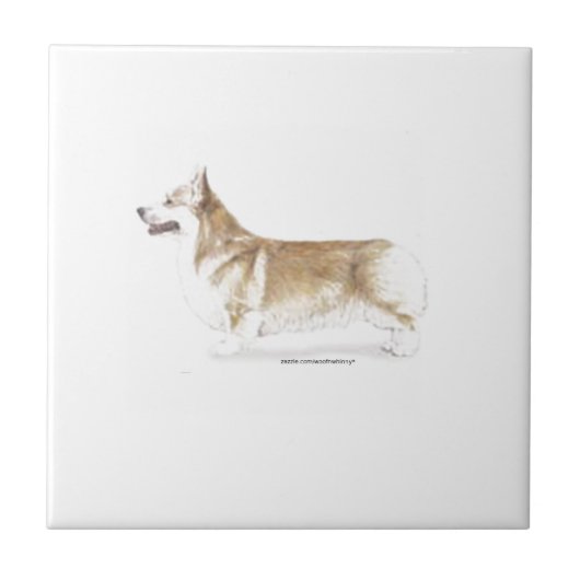 Carreau Pembroke Welsh Corgi (Devant)