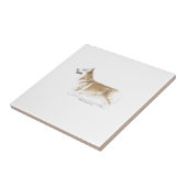 Carreau Pembroke Welsh Corgi (Côté)